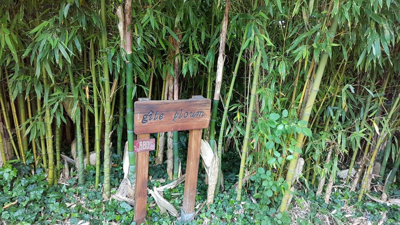 gite  ploum Pouydesseaux Exterior foto